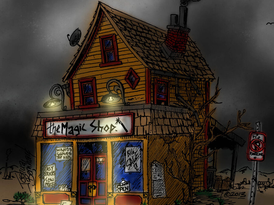 Magic Shop Illustration